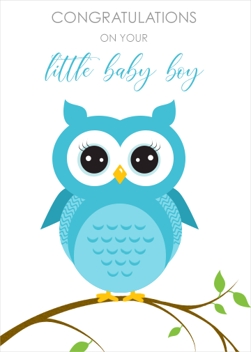 Baby boy owl on a branch ecard to personalise