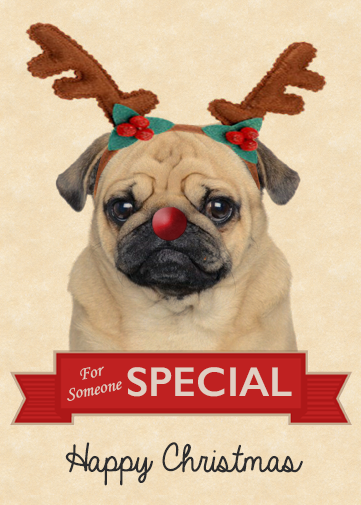 Animal Christmas Card. Dog christmas card to send online