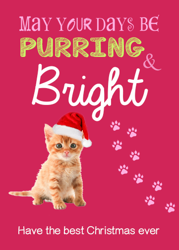 Christmas Card for Friend. christmas ecards santa kitten on the front and purring text
