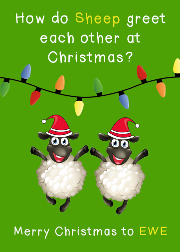 Kids Christmas Cards with two sheep on the front and a christmas joke.