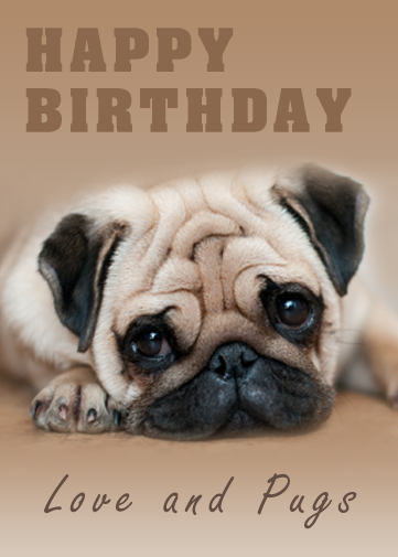 pug birthday card with cute pug dog and saying love and pugs