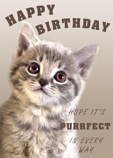 cute kitten birthday card with hope it's a purrfect birthday